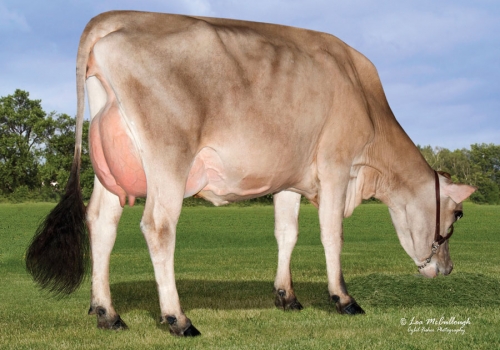 FILHA DE SPIRIT_3.jpg