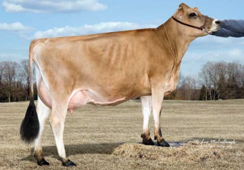 FILHA DE SPIRIT_4.jpg