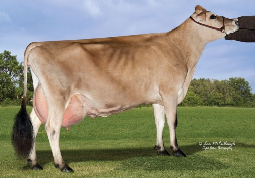 FILHA DE SPIRIT_5.jpg