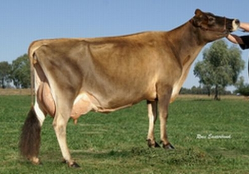 Kaarmona Spiritual Sandy ET_FILHA DO SPIRIT.jpg