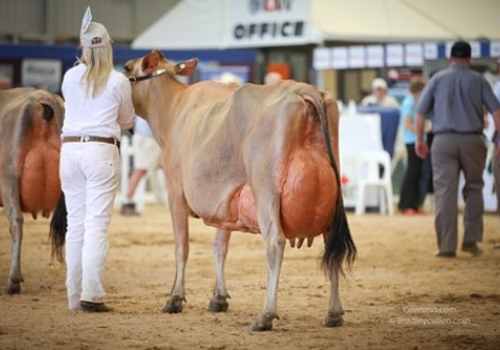 RIVERSIDE COUNTRY LOLLYPOP_EX-93_2.jpg