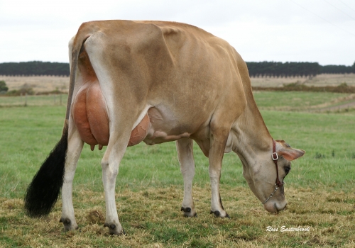 Riverside Spiritual Lori VHC90.jpg