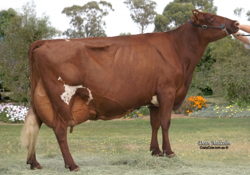 Irmã materna da mãe de Aramis