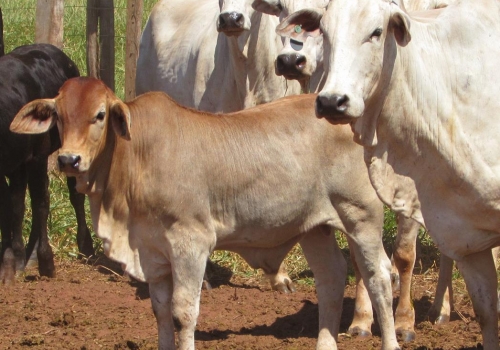 PROGÊNIES MR. SOL 18 (14).jpg