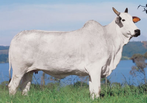 CATARINA - FILHA TATCHER.jpg