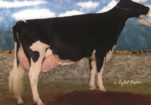 WINDY-KNOLL-VIEW PROMIS (EX-95) - AVÓ.jpg