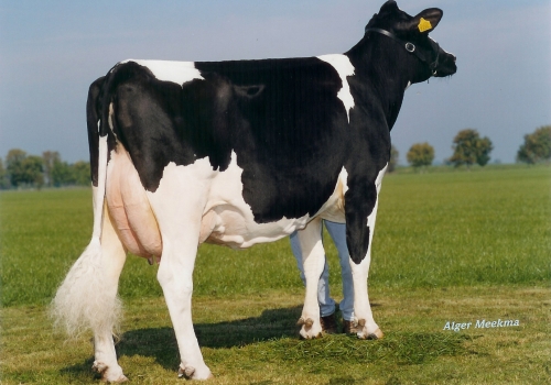 KOEPON CLASSY (MB-86) - BISAVÓ.jpg