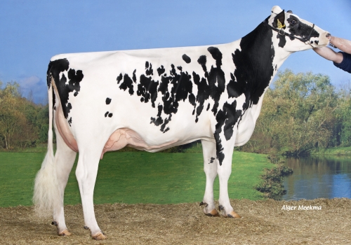 SUPER KOEPON CLASSY 69 (MB-85) - MÃE.jpg