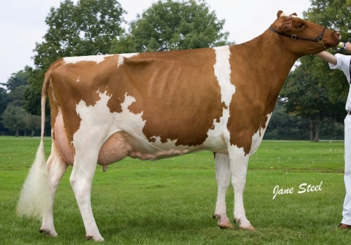 ECSTASY KETCHUP RAQUEL - FILHA.jpg