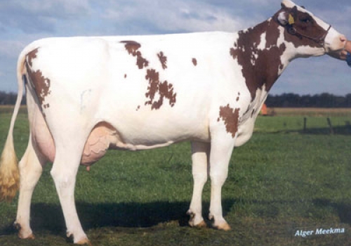 ETAZON WARSAU (MB 87) - AVÓ.jpg