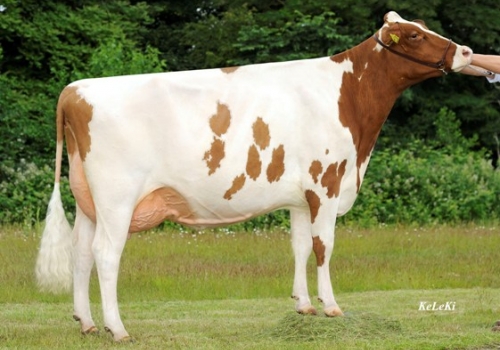 KETCHUP NIKITA - FILHA.jpg