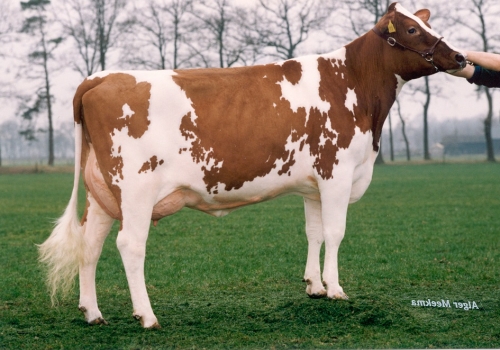 LOTJE MARTY (EX 90) - MÃE.jpg