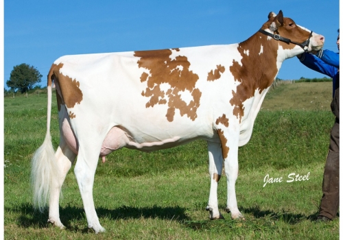 C.V. LARRI TALON ROJA (VG-85).jpg