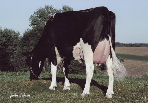HAVADU BWM GLIMMER ET (EX-92)_MAE DO TALON RC.jpg