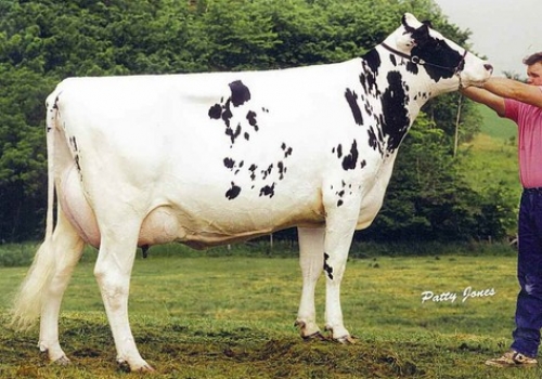 GLEN DRUMMOND SHOWER ET *RC (EX-90)_5ª MÃE