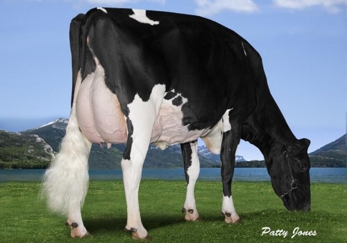 MS CHASSITY GOLDWYN CASH-ET (VG-89) - AVÓ DUPONT (2).jpg