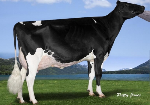 MS CHASSITY GOLDWYN CASH-ET (VG-89) - AVÓ DUPONT.jpg