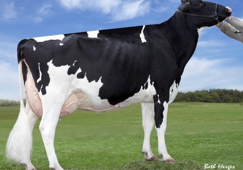 REGANCREST CHASSITY ET( EX-92) - BISAVÓ DUPONT (2).jpg