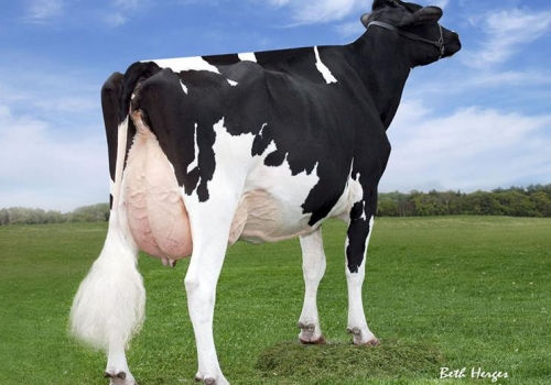 REGANCREST CHASSITY ET( EX-92) - BISAVÓ DUPONT.jpg