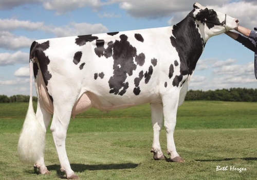 SULLY SHOTTLE MAY-TW (EX-91) - 4ª MÃE SAXOFN.jpg