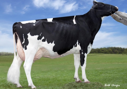 REGANCREST S CHASSITY-ET (EX - 92) - AVÓ.jpg