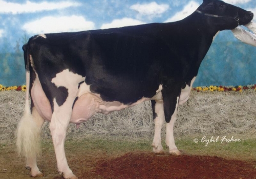 WINDY KNOLL  VIEW PROMIS (EX-95) - AVÓ.jpg