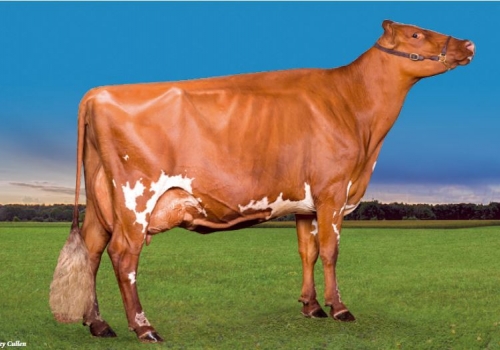 ALLEN VALE BLOSSOM EX-90 - IRMÃ PATERNA.JPG