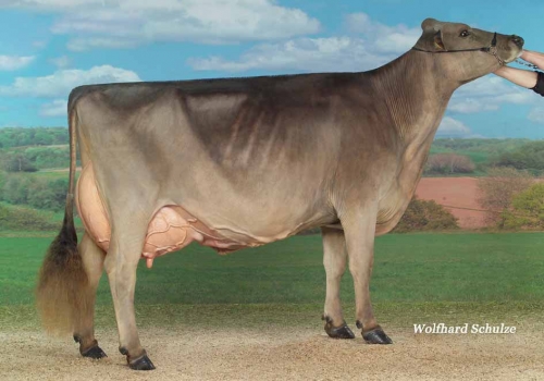 Irmã materna da mãe de Ulloa