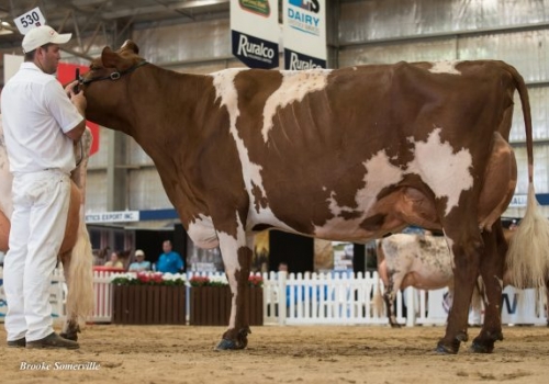 Irma Materna Hunt.jpg