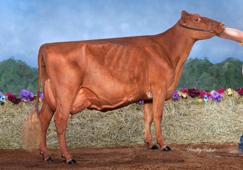 Irma Materna Hunt2.jpg