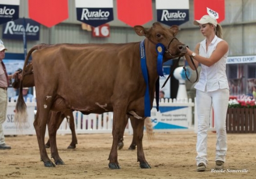 Irma Paterna Hunt.jpg