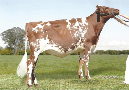 Irma Paterna Hunt2.jpg