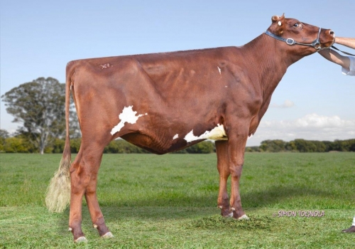 Irma Paterna Hunt3.jpg