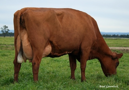 FILHA PRIMEIRO PARTO.jpg