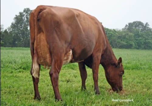 FILHA PRIMEIRO PARTO2.jpg