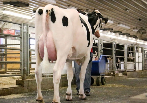 EDG GIN MONEY 2339 ET VG85_MÃE DO SAXOFON.jpg