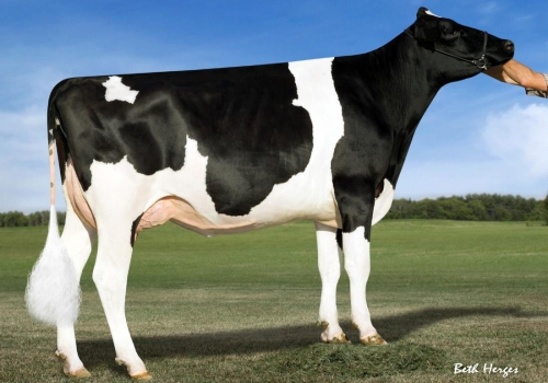 SULLY HART GERARD 147 GIN ET B+ 81_AVÓ DO SAXOFON.jpg