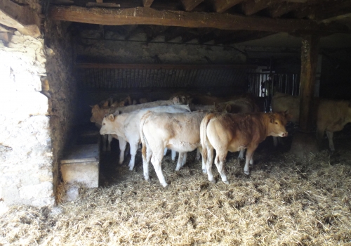 Padrão de Produção