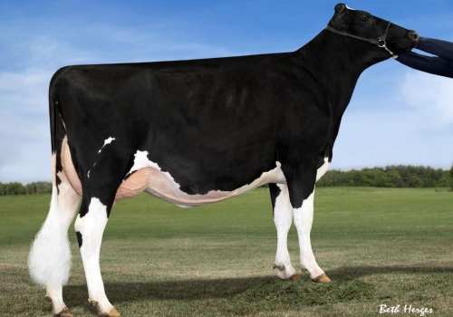 AMMON-PEACHEY SUPER MIKI ET VG87_AVÓ DO MOBIL.jpg