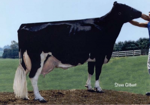 WESSWOOD-HC RUDY MISSY EX92_ORIGEM DA FAMÍLIA DE VACAS DE MOBIL.jpg