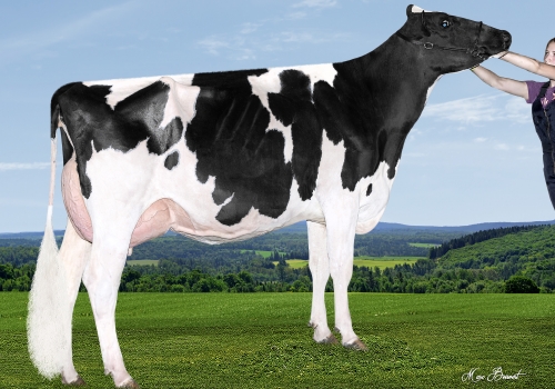 EDG MIKI MARTHA 2020 ET VG87_MÃE DO MOBIL.jpg