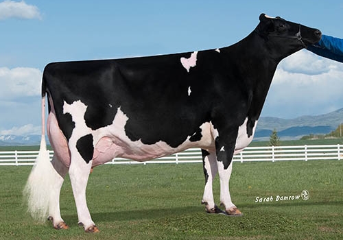 AMMON-PEACHEY SHAUNA-ET EX-92_IRMÃ DA AVÓ DO MOBIL.jpg