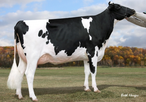 RABUR GOLD PANZER ET VG87_BISAVÓ DO KILO.jpg