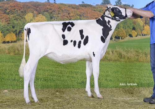 HEIDENSKIPSTER MCCUTCHEN AMY VG85_MÃE DO JOSU.jpg