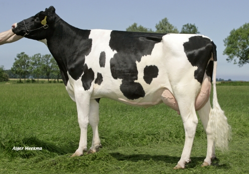 KOEPON MR SAM DENISE 1 VG86_BISAVÓ DO MULLIGAN.jpg