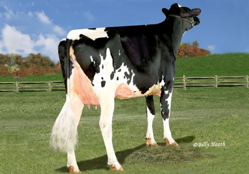 REGAN-BH-ALH S DELANA VG86_AVÓ DO MORRISON.jpg