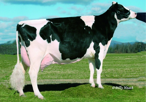 WINDSOR-MANOR RUD ZIP EX95_4ª MÃE DO MORRISON.jpg