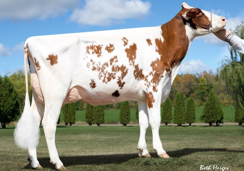 MILKSOURCE D DEVILS RED ET EX90_AVÓ DO ARIZONA.jpg