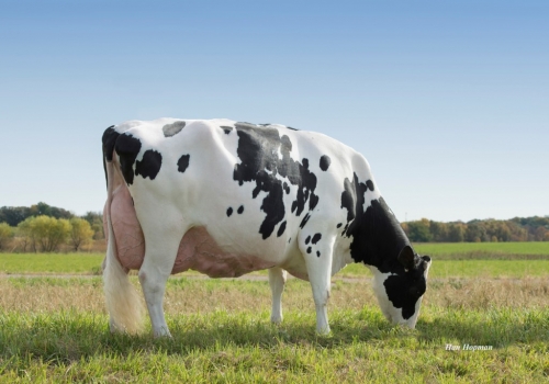 LARCREST CRIMSON EX94_AVÓ DO CRAVEN.jpg