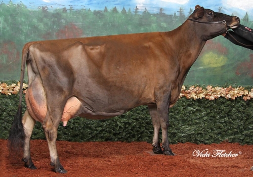 Avonlea Renaissance Kookie ET EX92_IRMÃ DA AVÓ DO FIJI.jpg